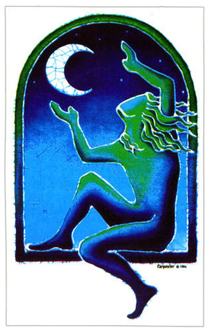 Moon Catcher sticker