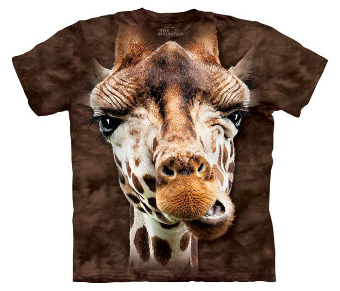 Giraffe - stock L