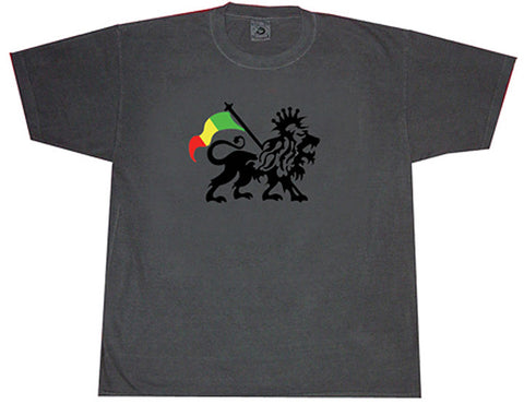 Lion Of Judah pigment dye T-shirt
